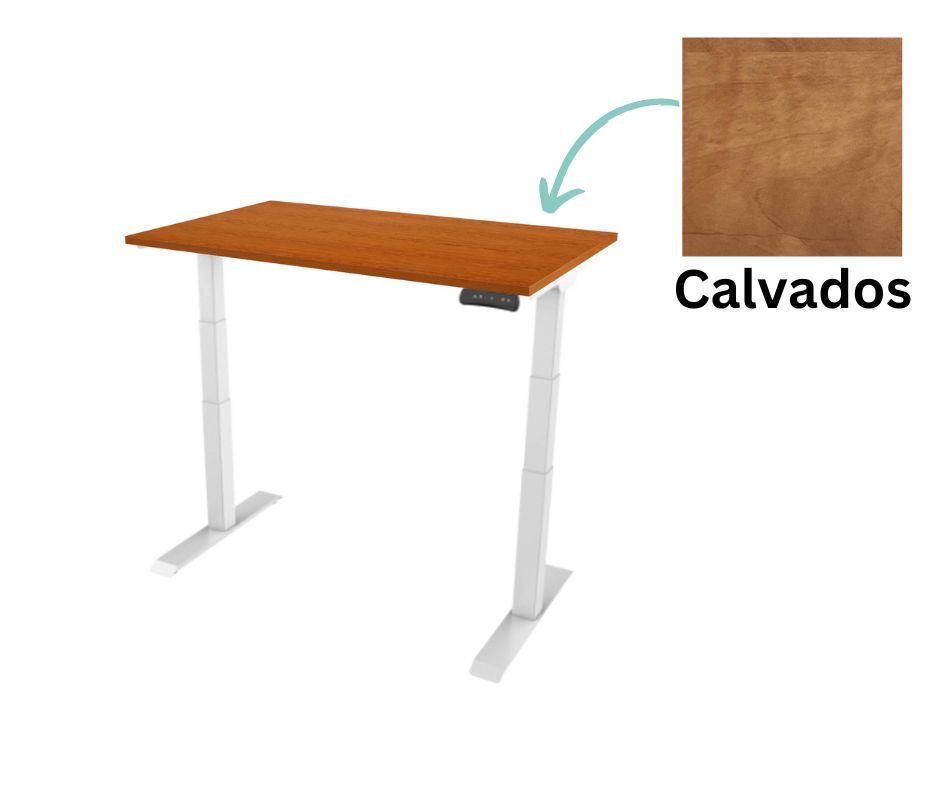 calvados bila PROJUSTER - Delso - dětský, kancelářský a bytový nábytek