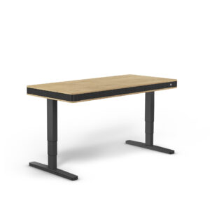 Luxusní elektrický výškově nastavitelný stůl MOLL T8 L Exclusive - výprodej vystaveného kusu